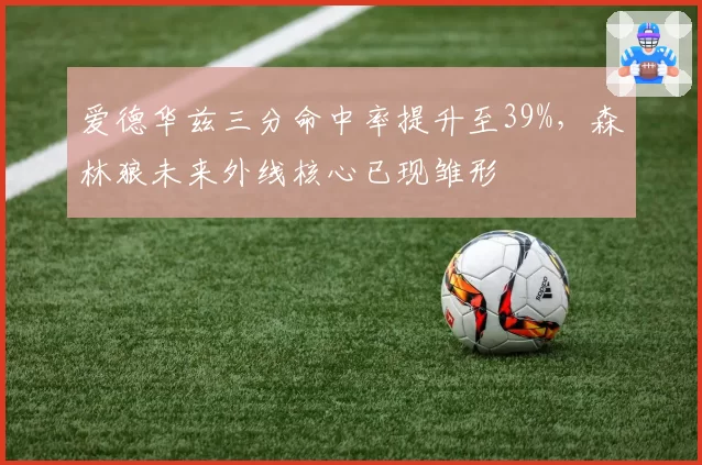 爱德华兹三分命中率提升至39%，森林狼未来外线核心已现雏形
