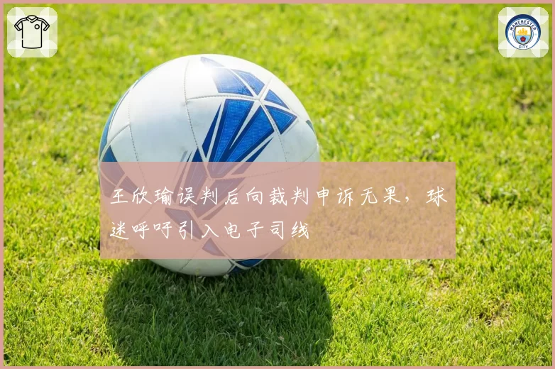 王欣瑜误判后向裁判申诉无果，球迷呼吁引入电子司线