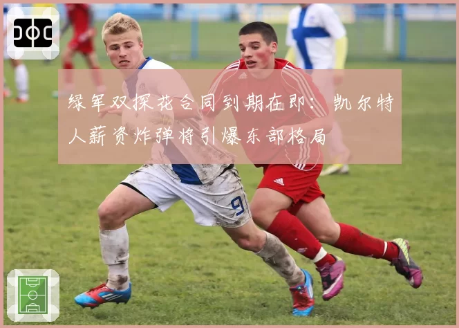 绿军双探花合同到期在即：凯尔特人薪资炸弹将引爆东部格局