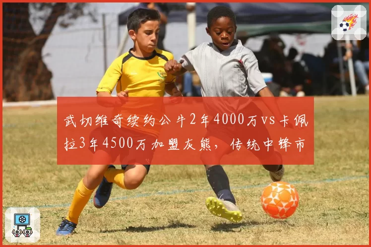 武切维奇续约公牛2年4000万vs卡佩拉3年4500万加盟灰熊,传统中锋市场价值分化明显